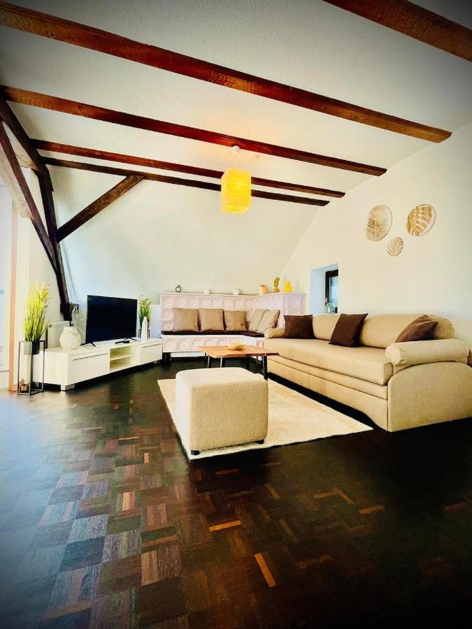 Chris & Aris Ferienwohnung Waldshut Zentrum ภายนอก รูปภาพ